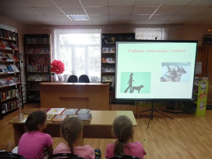 собака-поводырь слепых