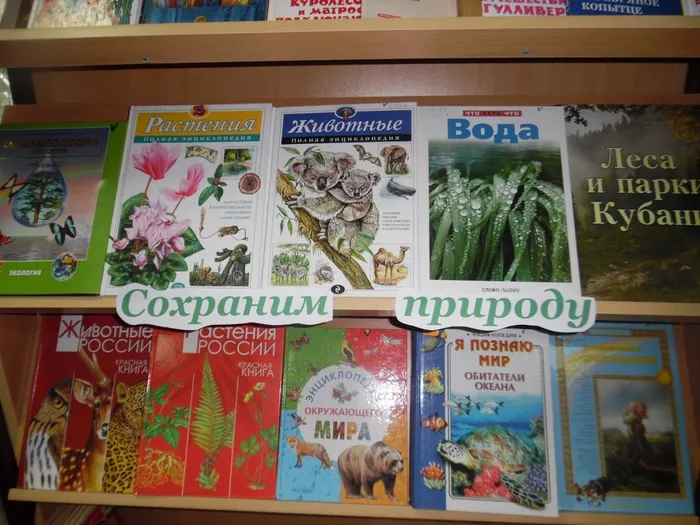 д. окр. среды кн. выст.
