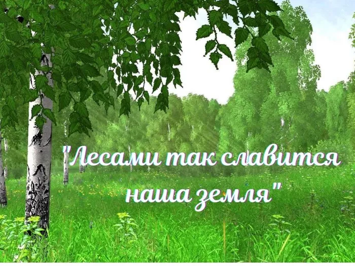 Лесами так славится наша земля.jpg