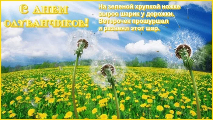 с днем Одуванчика