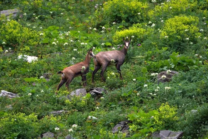 1 заповедник
