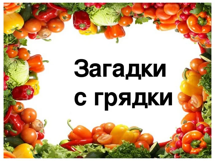 Загадки с грядки