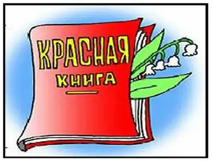 0 Красная кн.