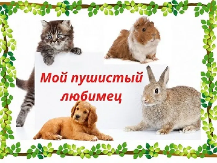 Мой пушистый любимец