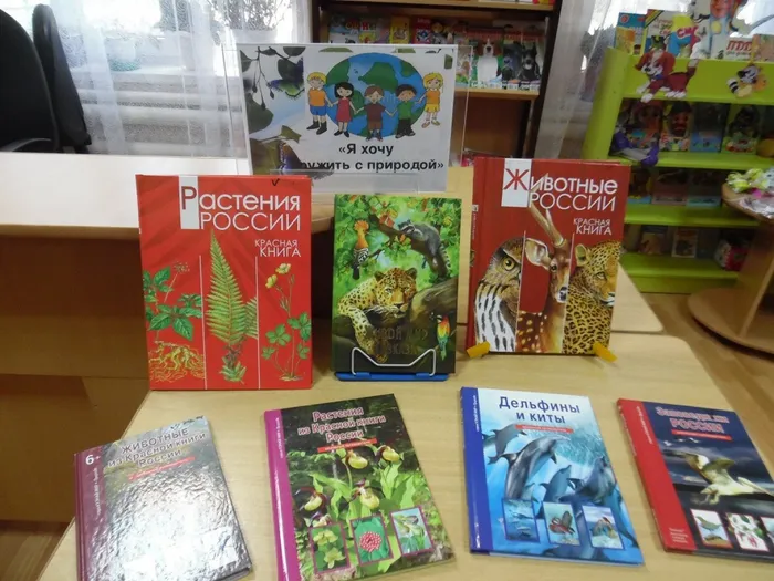 Кн. выст.