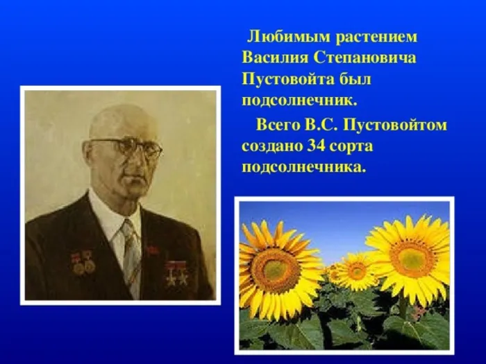 Пустовойт