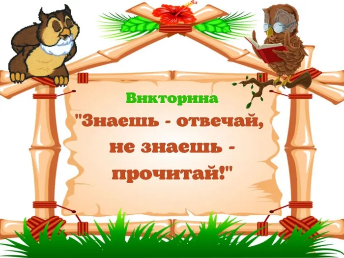 викторина.jpg