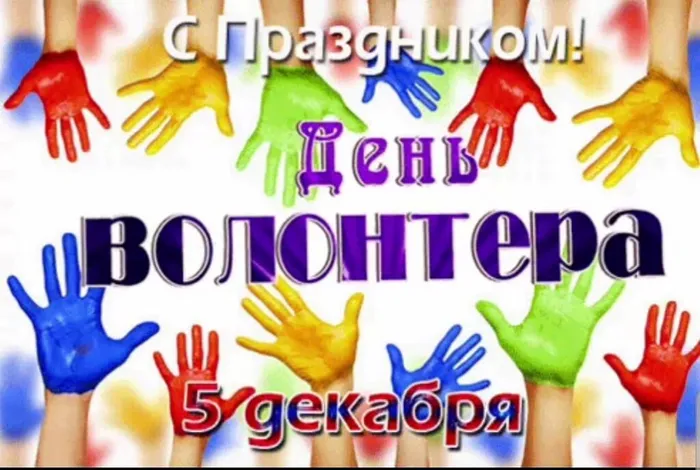 день волонера