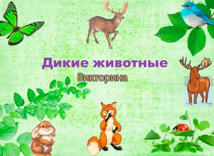 Дикие животные