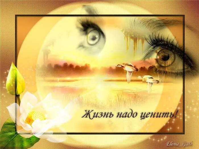 цените жизнь.jpg