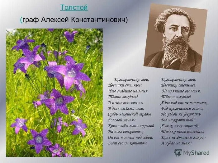 4 Толстой