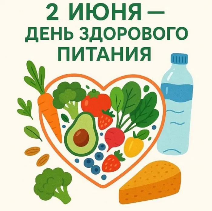 1    2.06  д. здор. питания