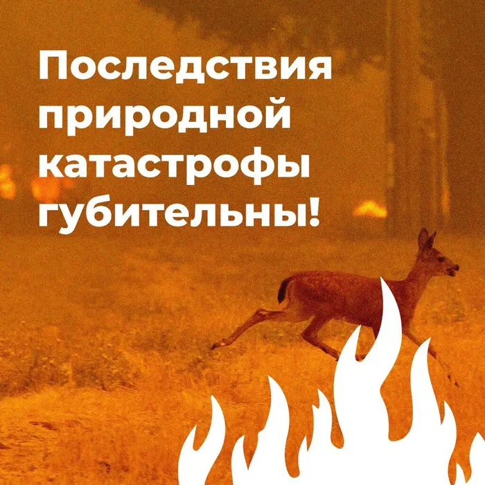 1 пожар