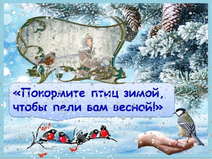 Птицы зимой