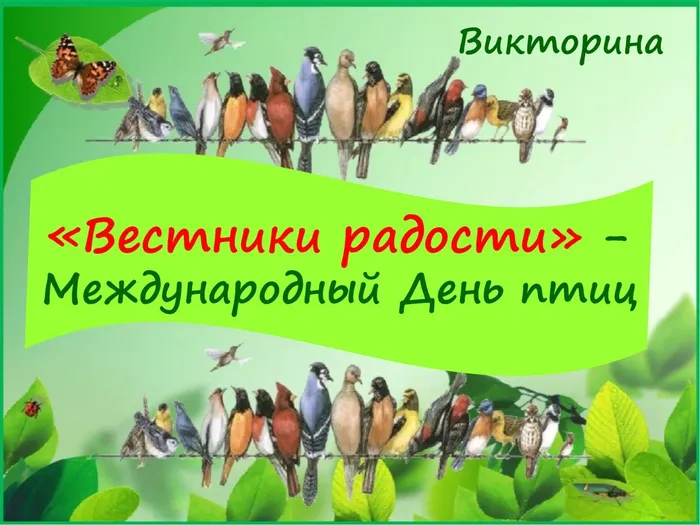 день птиц