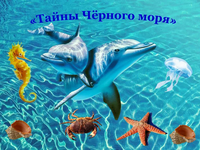 Черное море