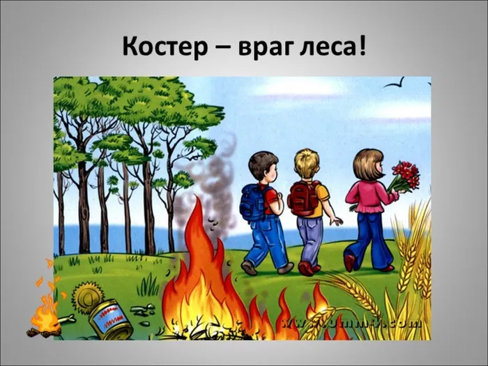 костер- враг леса