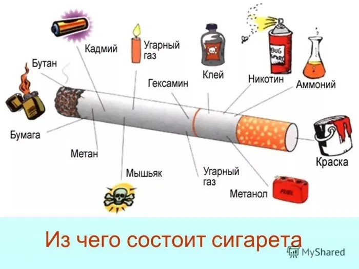 Из чего сделаны сигареты