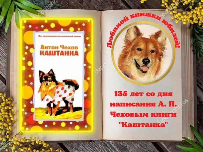 Любимой книжки юбилей!.jpg