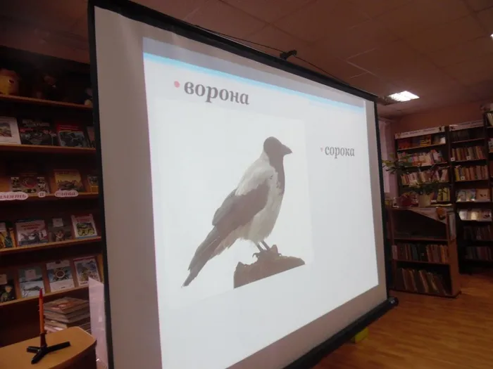 4 Путешествие