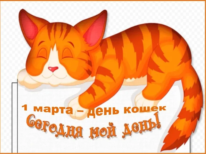 1 марта - день кошек