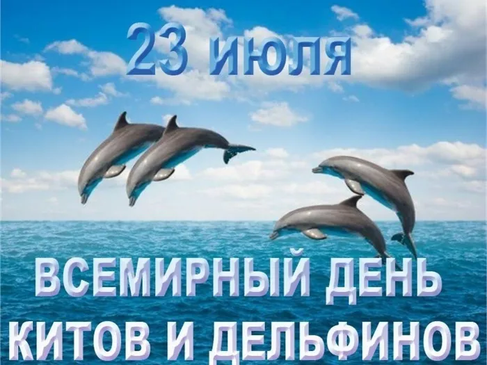 Всемирный день китов и дельфинов